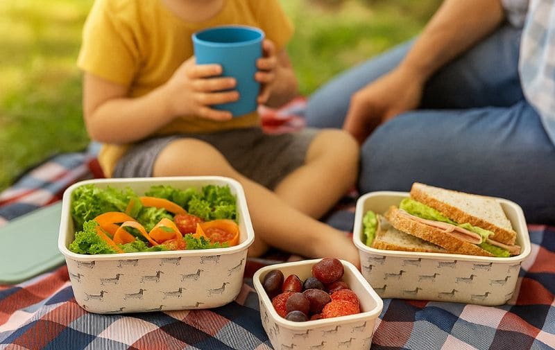 Bamboo fiber containers in use salad, fruit, sandwiches