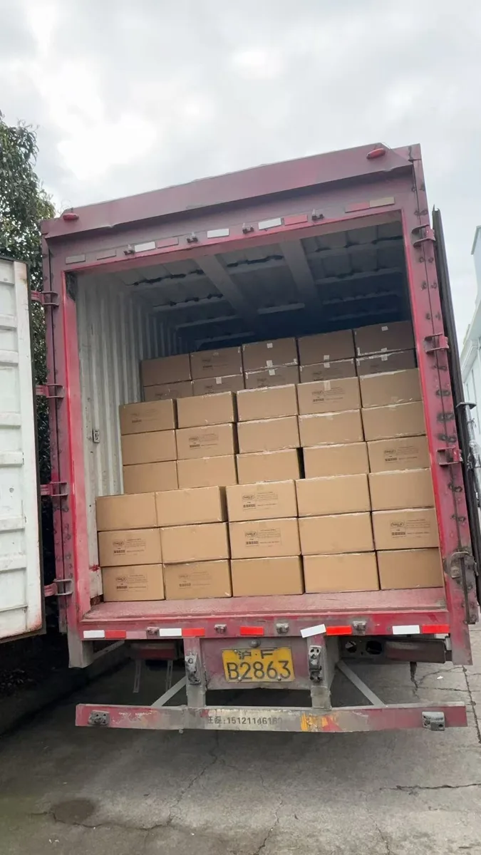 Packed cartons loaded inside a shipping container